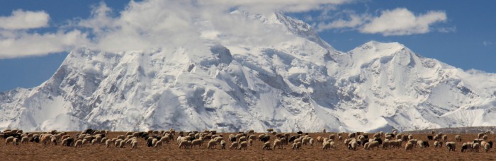 Tibet_4036_1