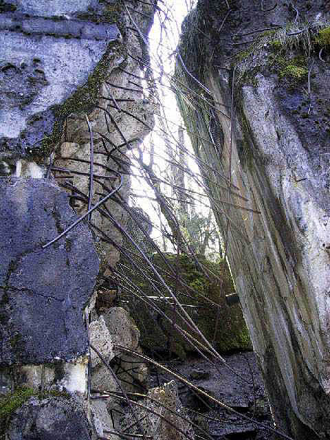 106-0679_IMG.JPG