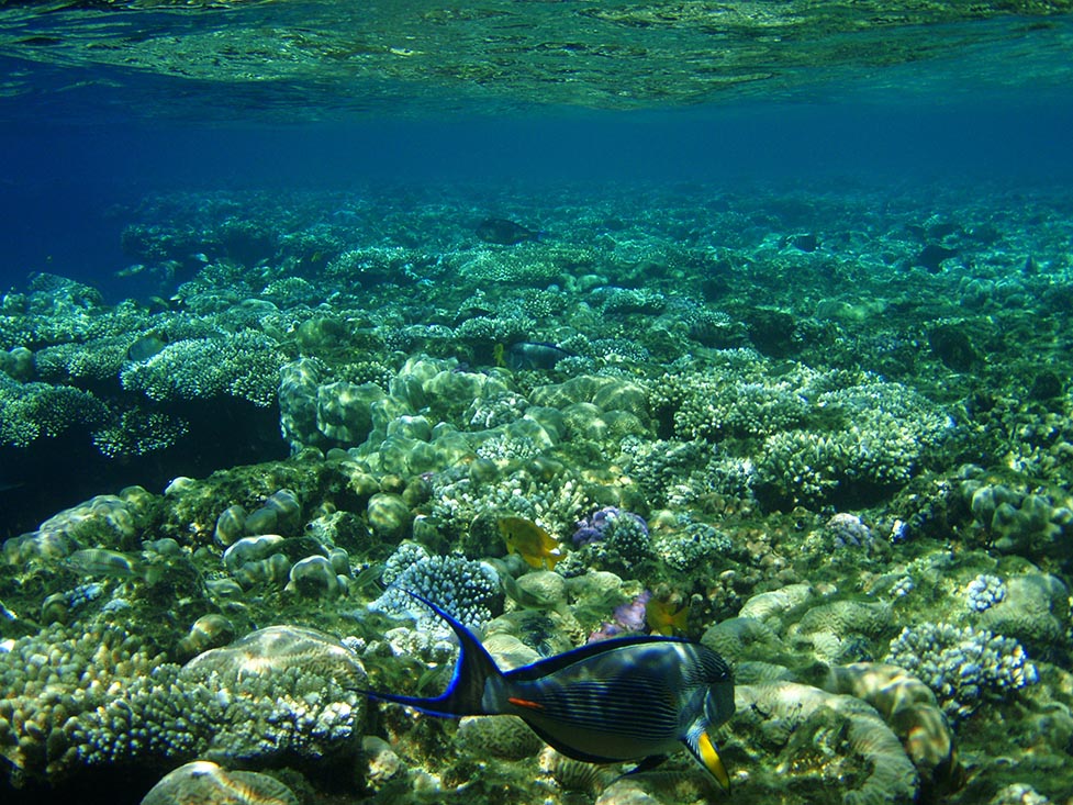 Египет под водой