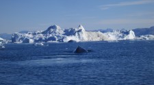 Greenland_20120819_0313