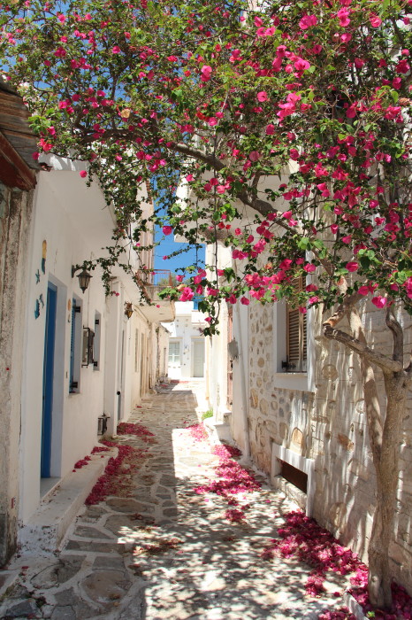 Cyclades_0050