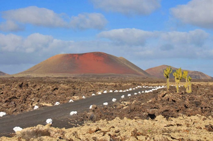 Canaries_0544_1e