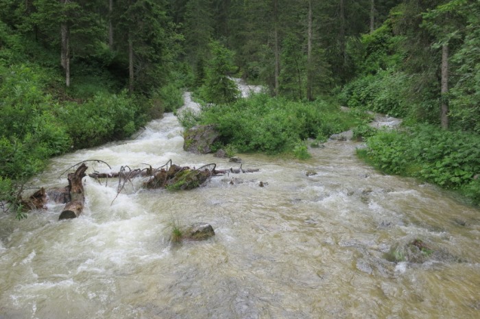 Dolomiti_0702