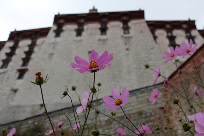 Tibet_0714