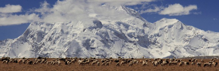 Šišapangmas pakājē, Tibetā