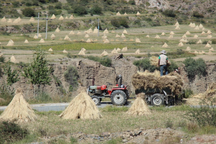 Tibet_1310e