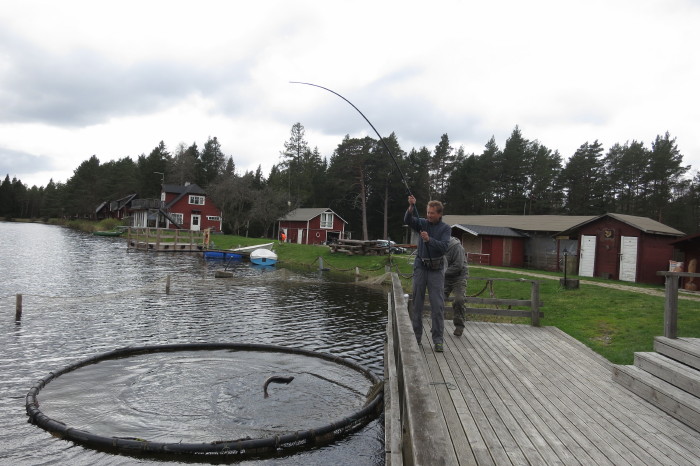 Saaremaa_229