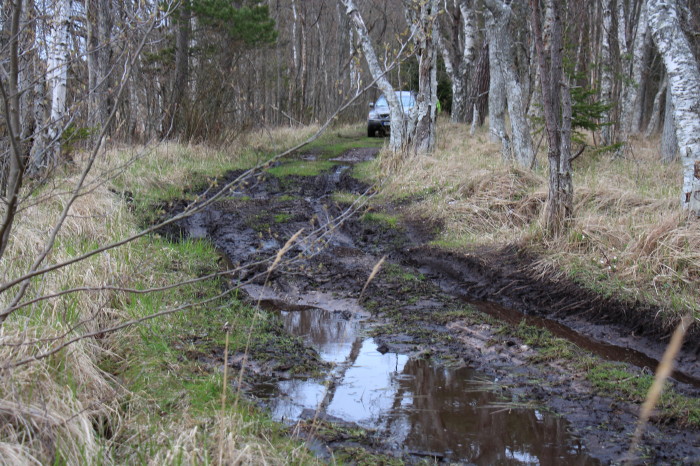 Saaremaa_309