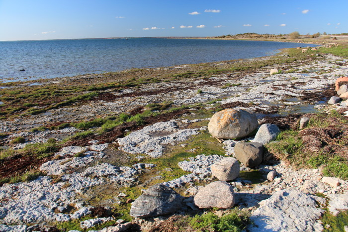 Saaremaa_461