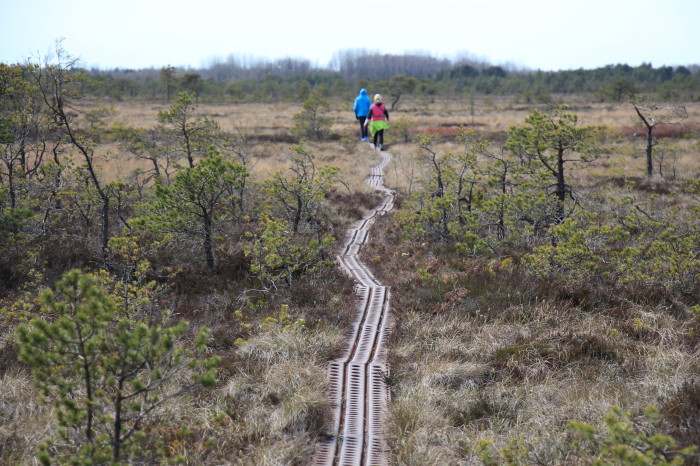 Saaremaa_539