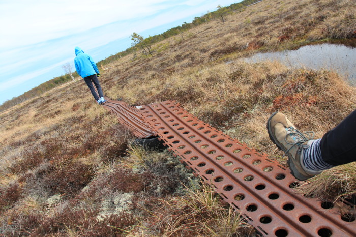 Saaremaa_558