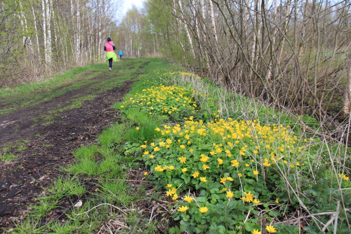 Saaremaa_569