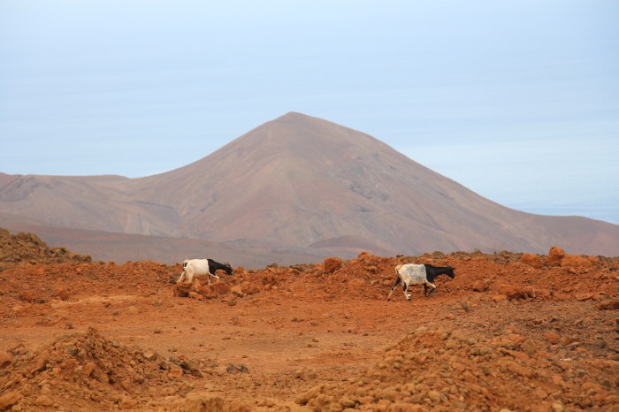 CaboVerde_100